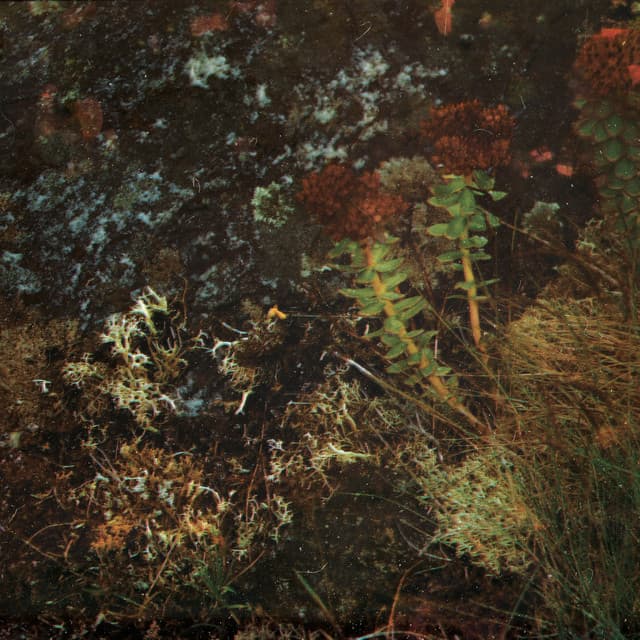 Driving Hours (musclecars "Call Me" Mix)