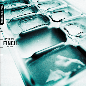 What It Is to Burn by Finch