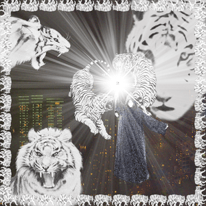 White Tiger by 2hollis