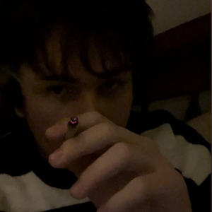 stupid by twikipedia