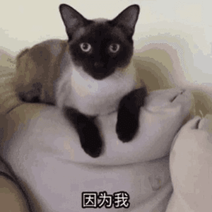 tbh i dont like being social by Luvlxckdown