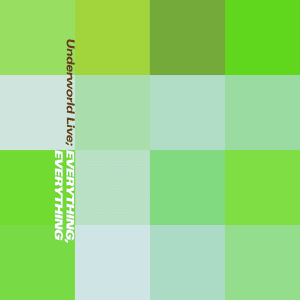 Everything, Everything (Live) by Underworld