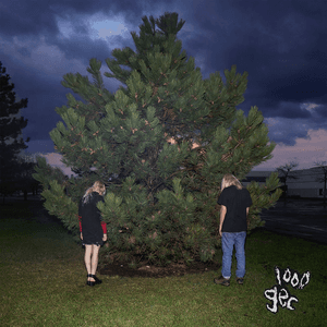 1000 gecs by 100 gecs