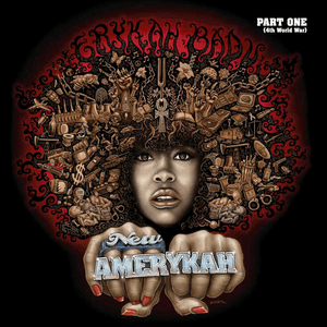 New Amerykah Part One (4th World War) by Erykah Badu