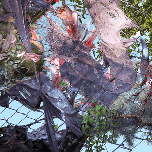 Tears in the Club by Kingdom